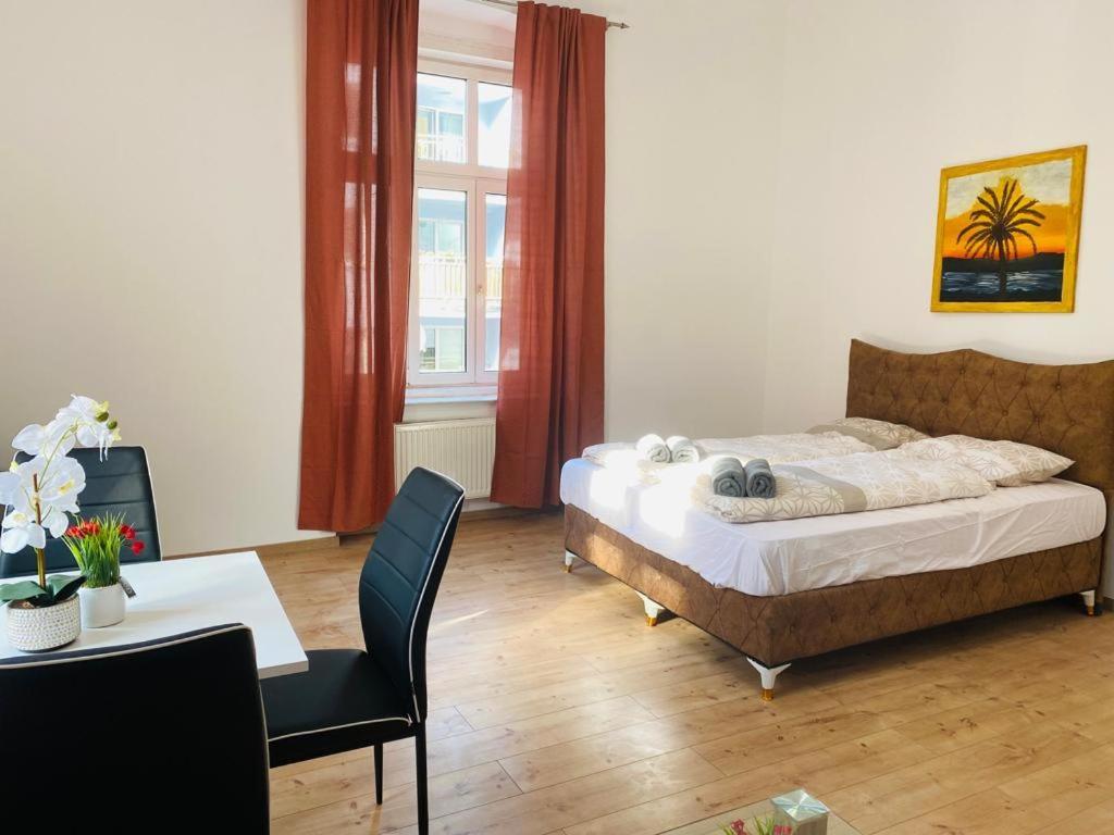 Séjour chez l'habitant Cozy In City Center Dw9 Vienne